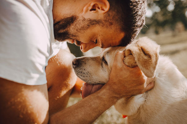 5 Common Signs of Stress in Dogs and How to Help - Pawzopia