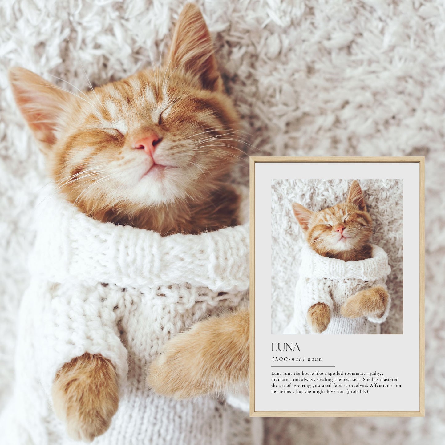 Dictionary Custom Pet Art