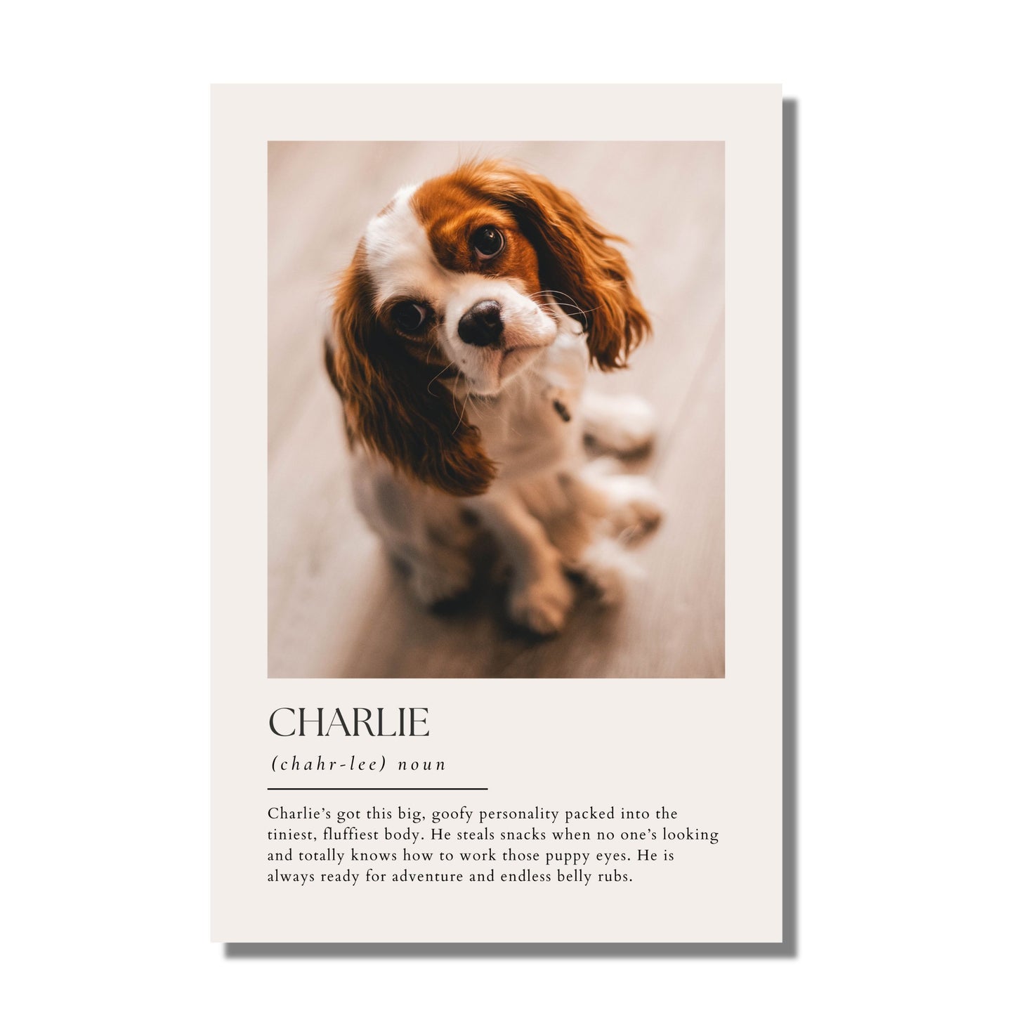Dictionary Custom Pet Art