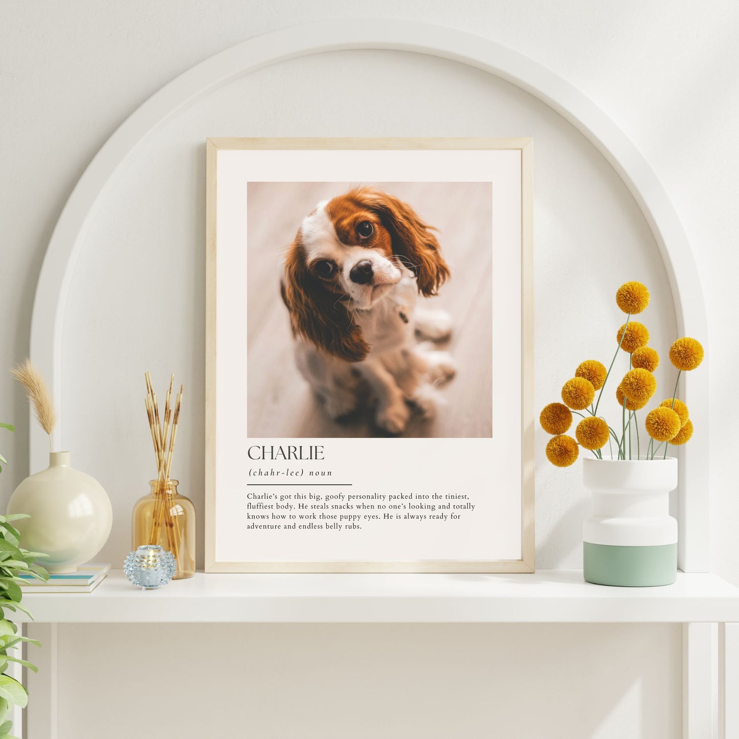 Dictionary Custom Pet Art