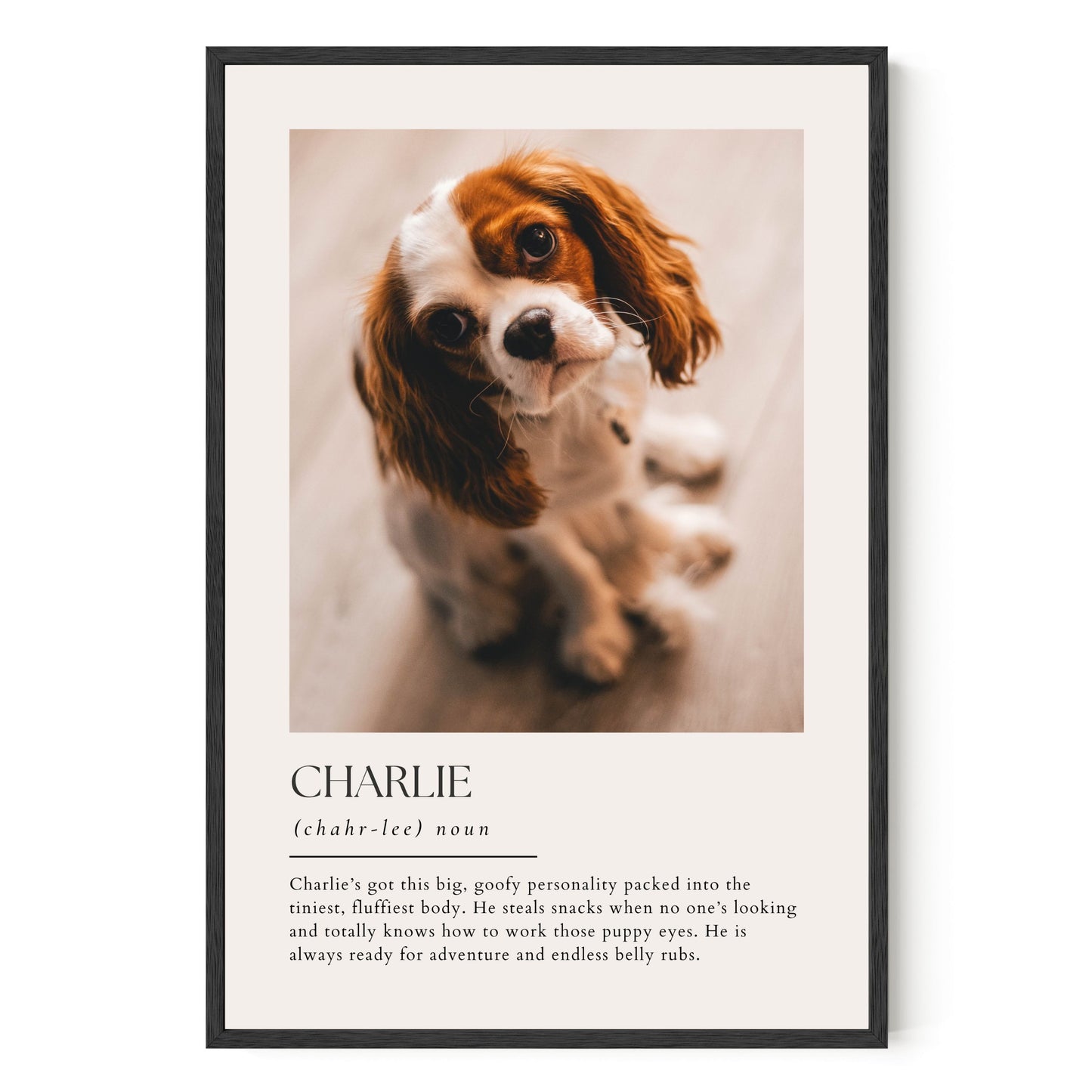 Dictionary Custom Pet Art
