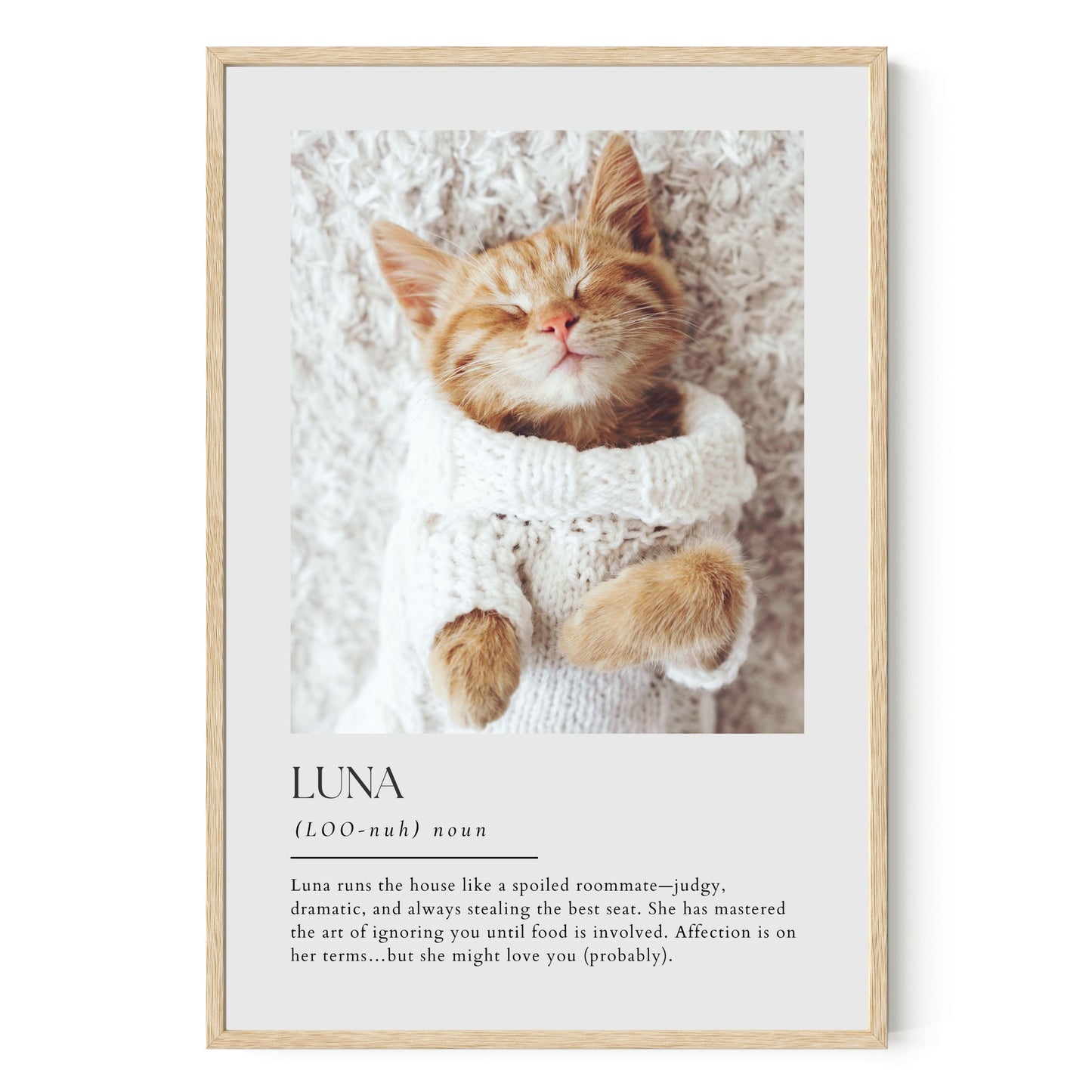 Dictionary Custom Pet Art