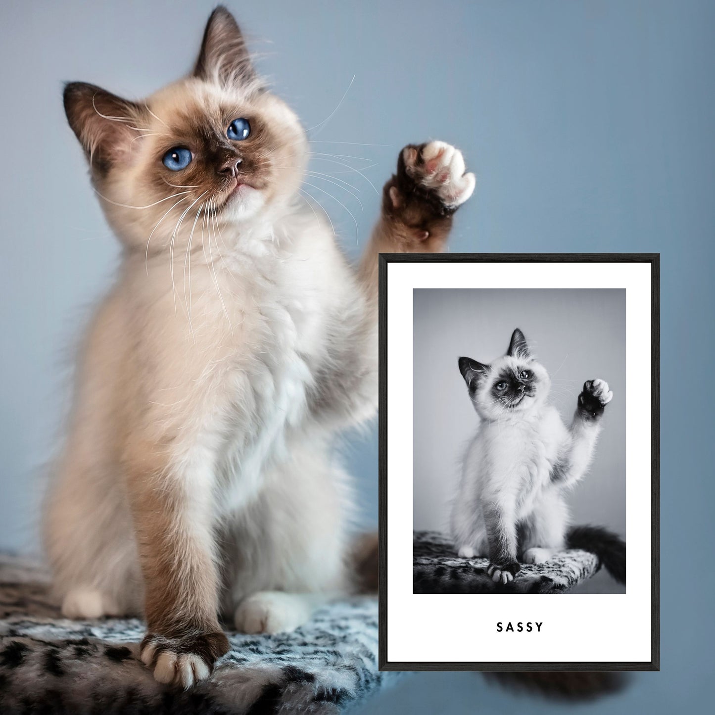 Monochrome Custom Pet Portrait