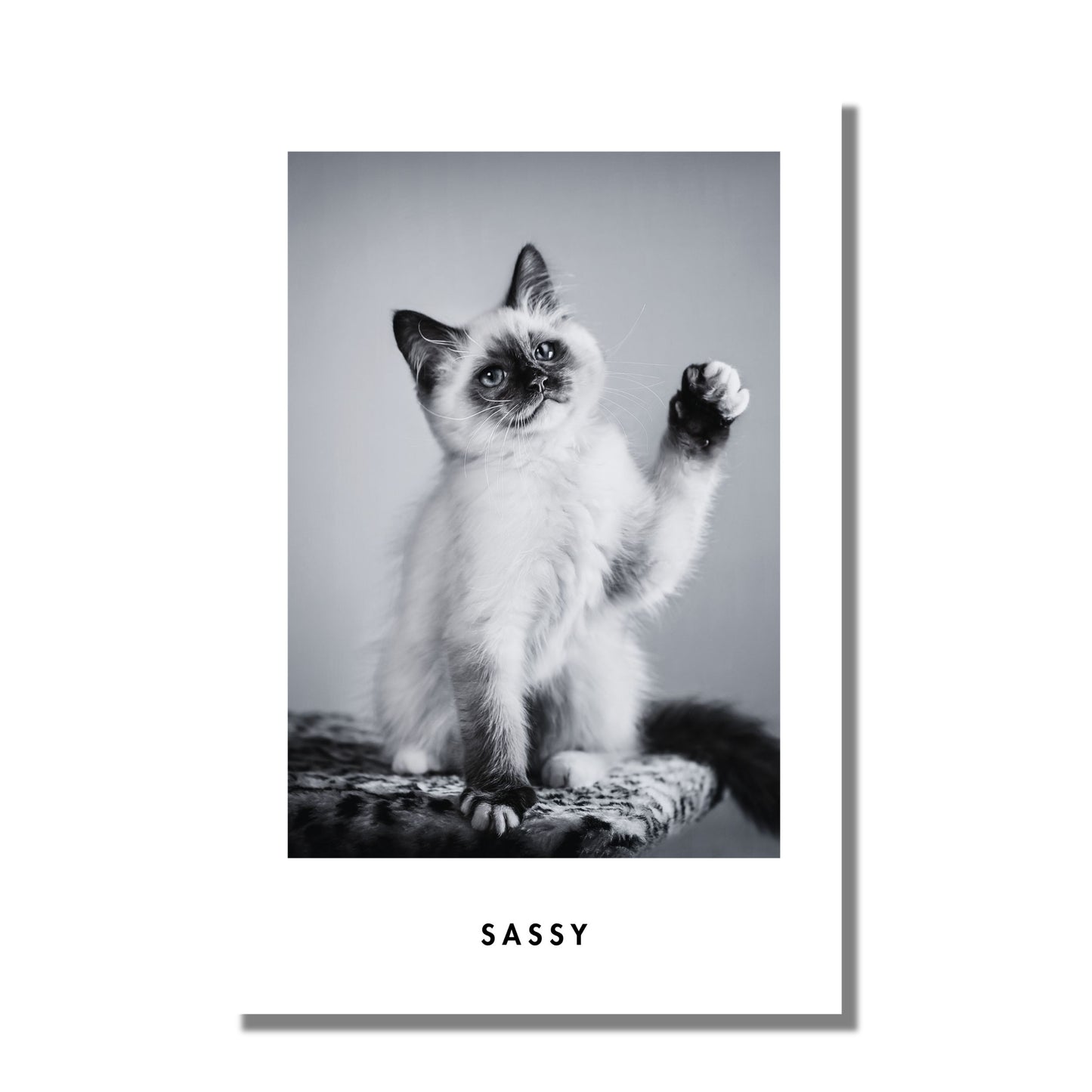 Monochrome Custom Pet Portrait