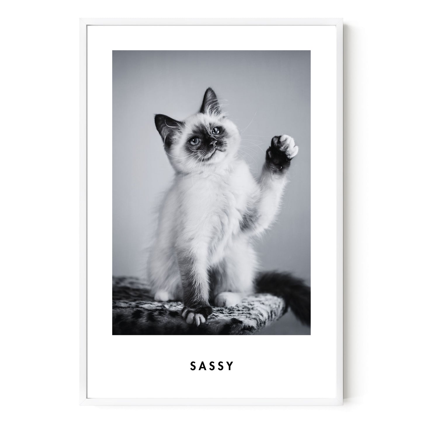 Monochrome Custom Pet Portrait