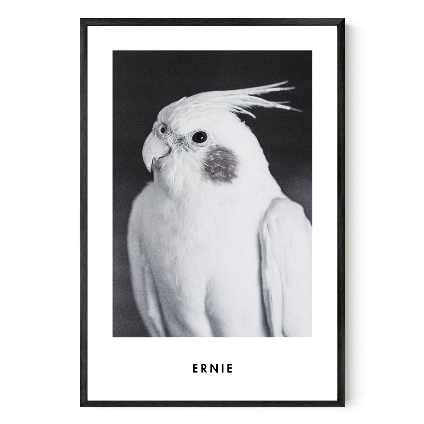 Monochrome Custom Pet Portrait