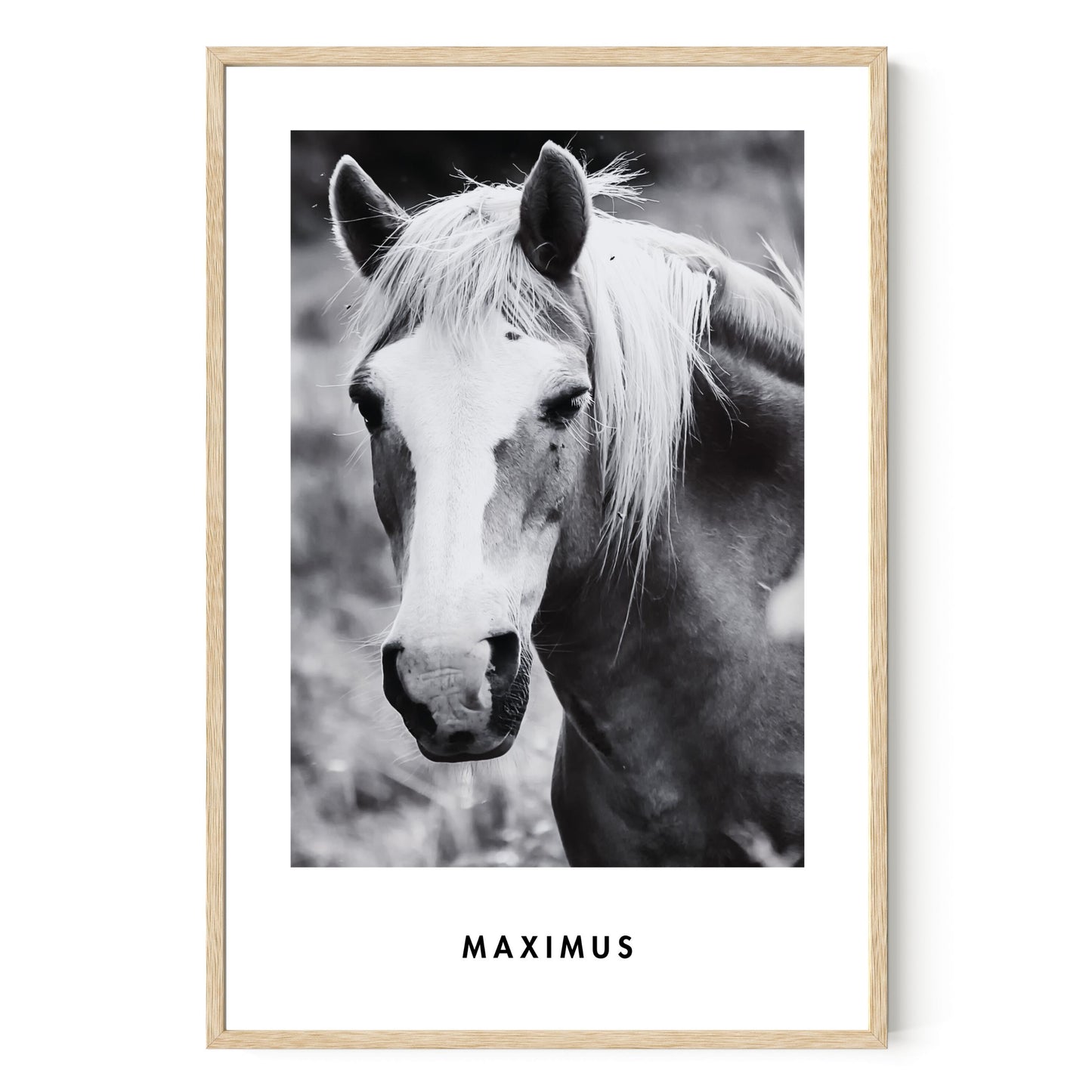 Monochrome Custom Pet Portrait