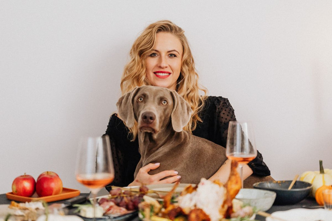 What Your Dog Can and Can’t Eat on Thanksgiving Dinner