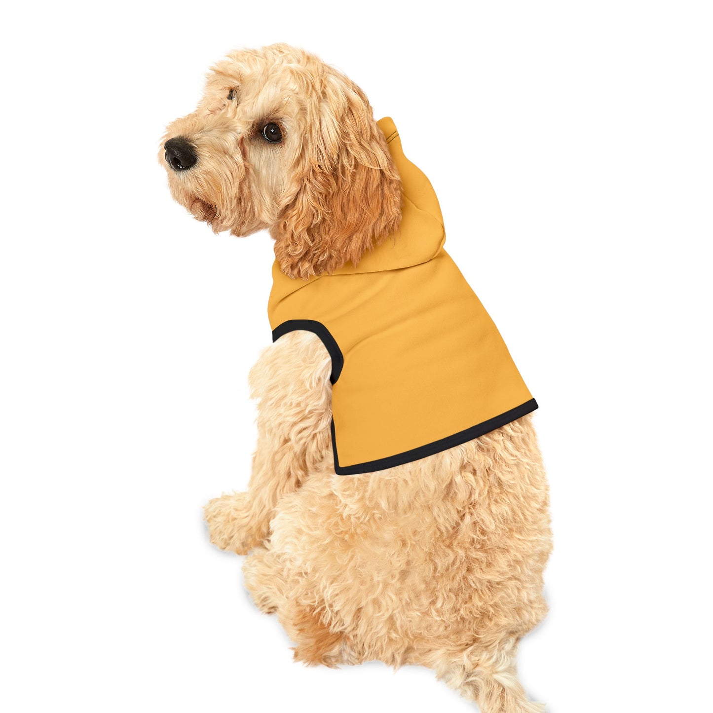 Yellow Joy Dog Hoodie