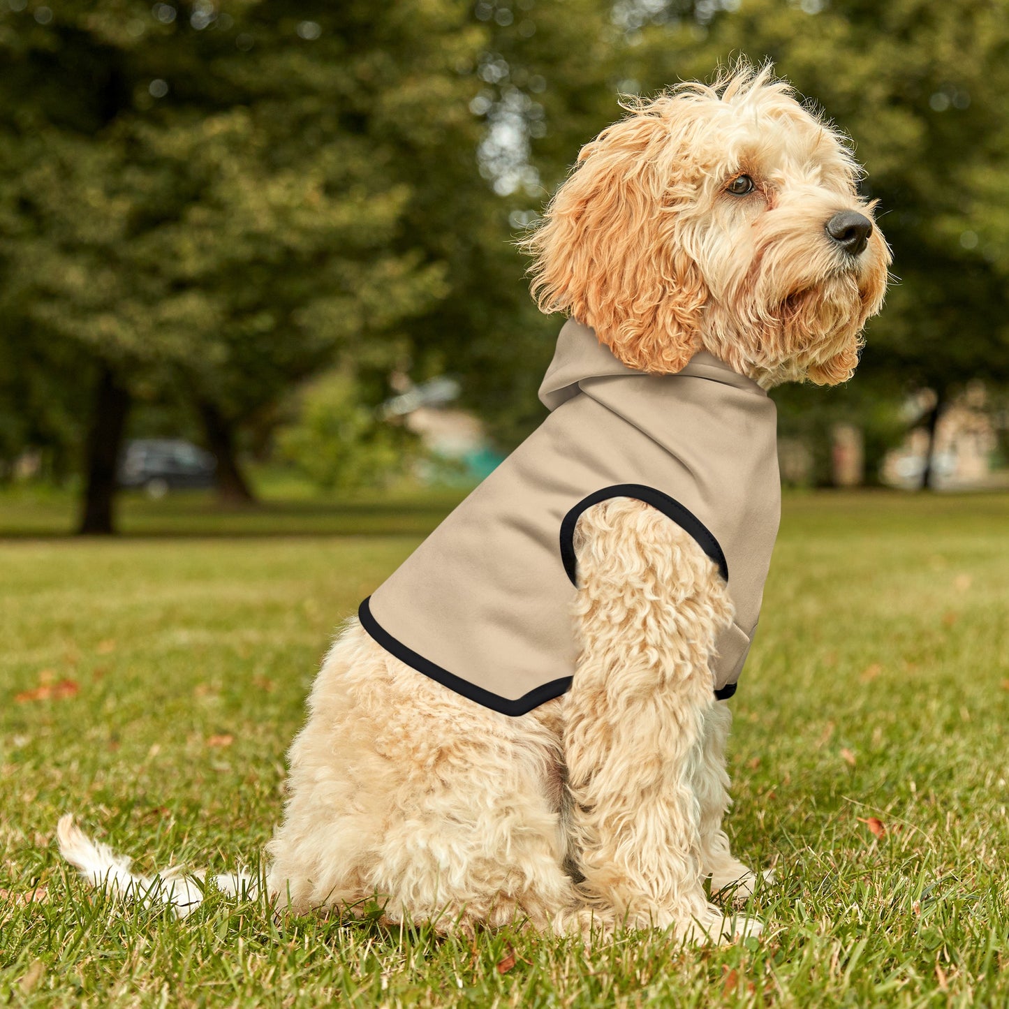 Beach Sand Dog Hoodie