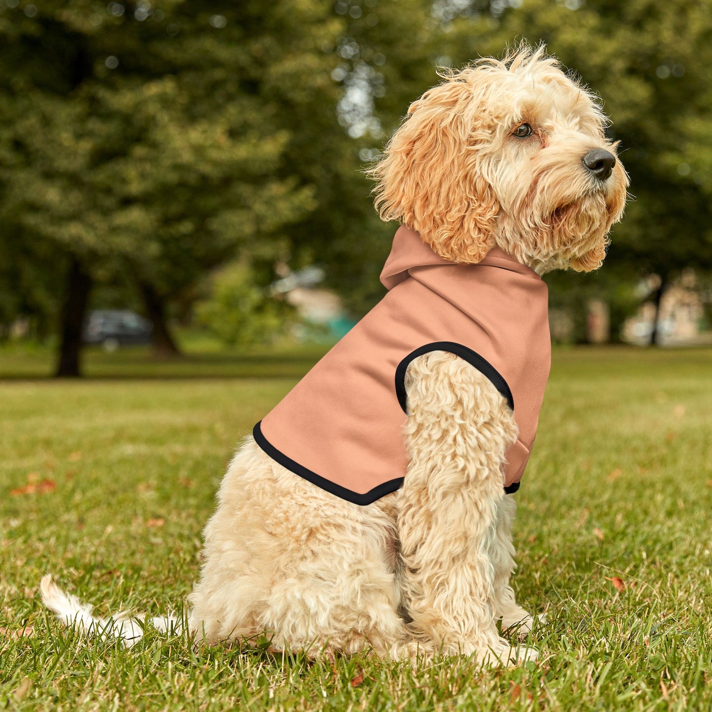 Peach Fuzz Dog Hoodie