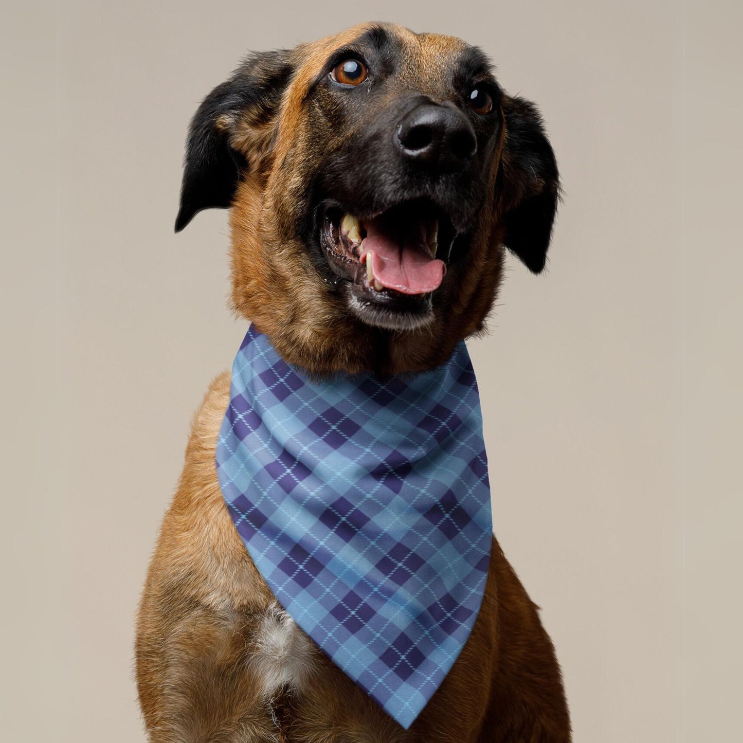 Blue Plaid Dog Bandana