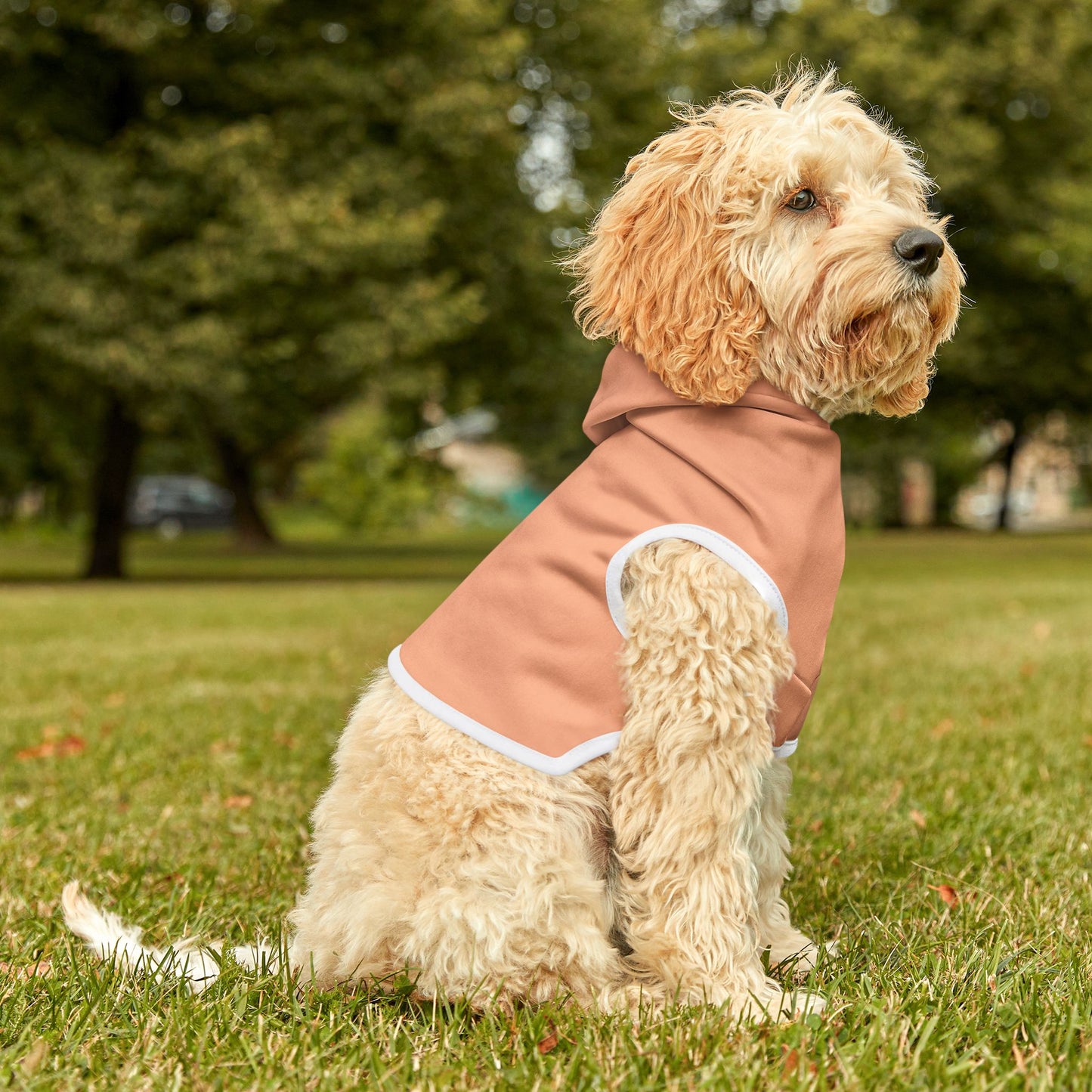 Peach Fuzz Dog Hoodie