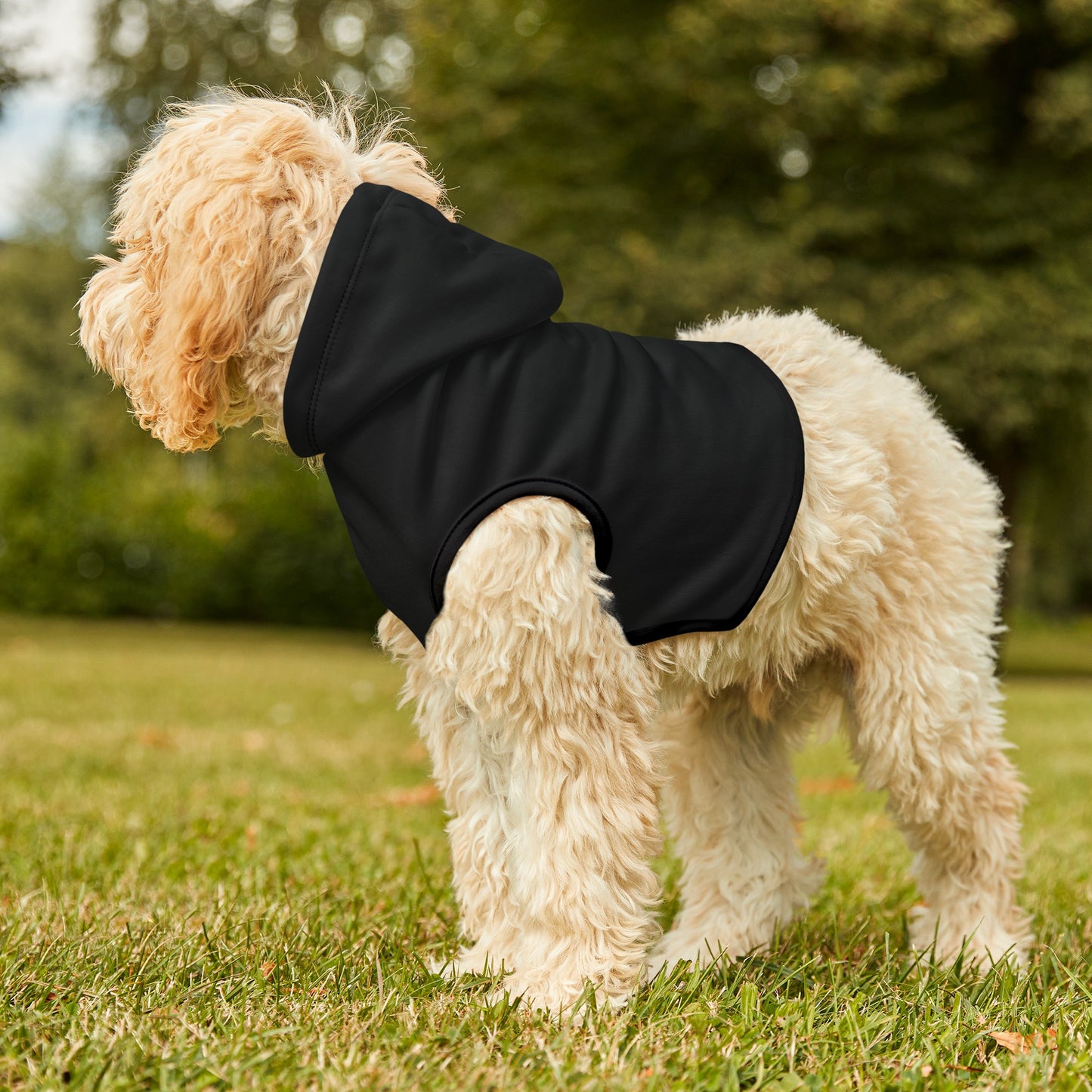 Black Knight Dog Hoodie