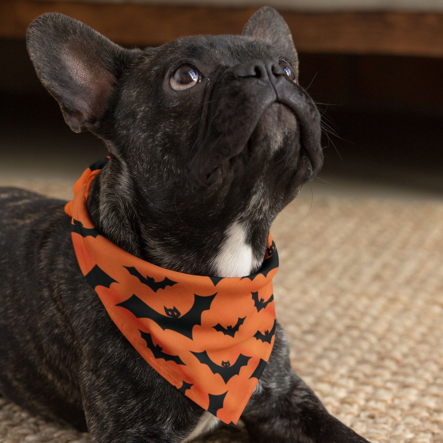 Bat Halloween Dog Bandana