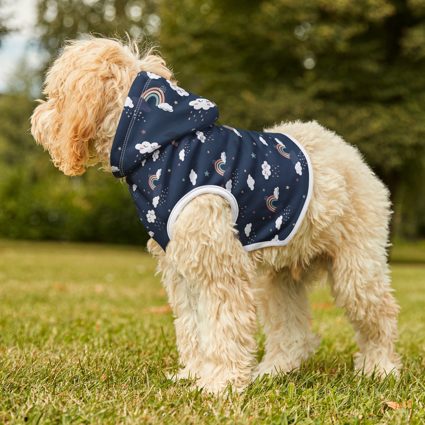 Night Rainbows Dog Hoodie