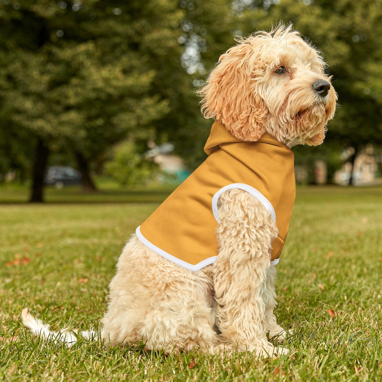 Yellow Joy Dog Hoodie