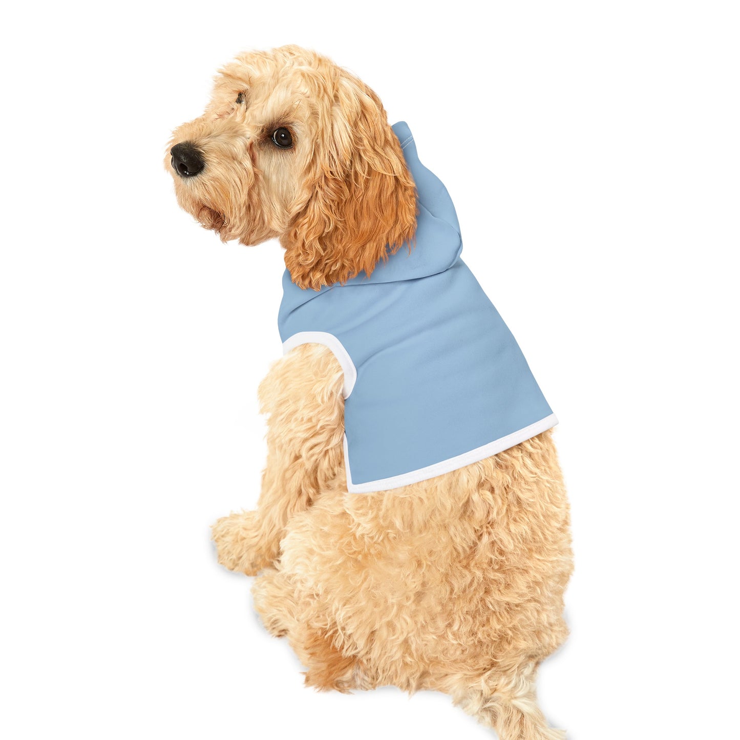 Blue Sky Dog Hoodie