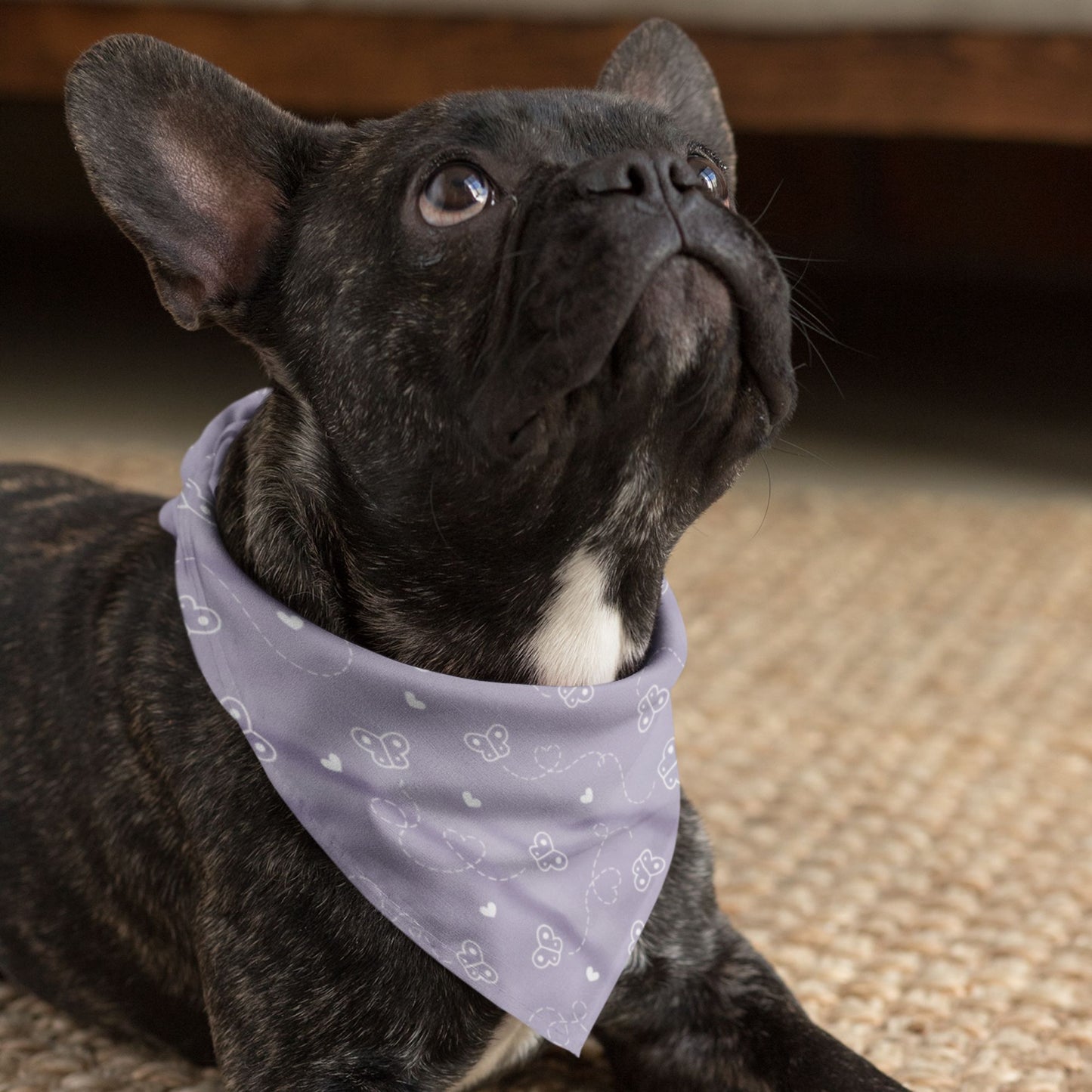 Butterfly Heart Dog Bandana