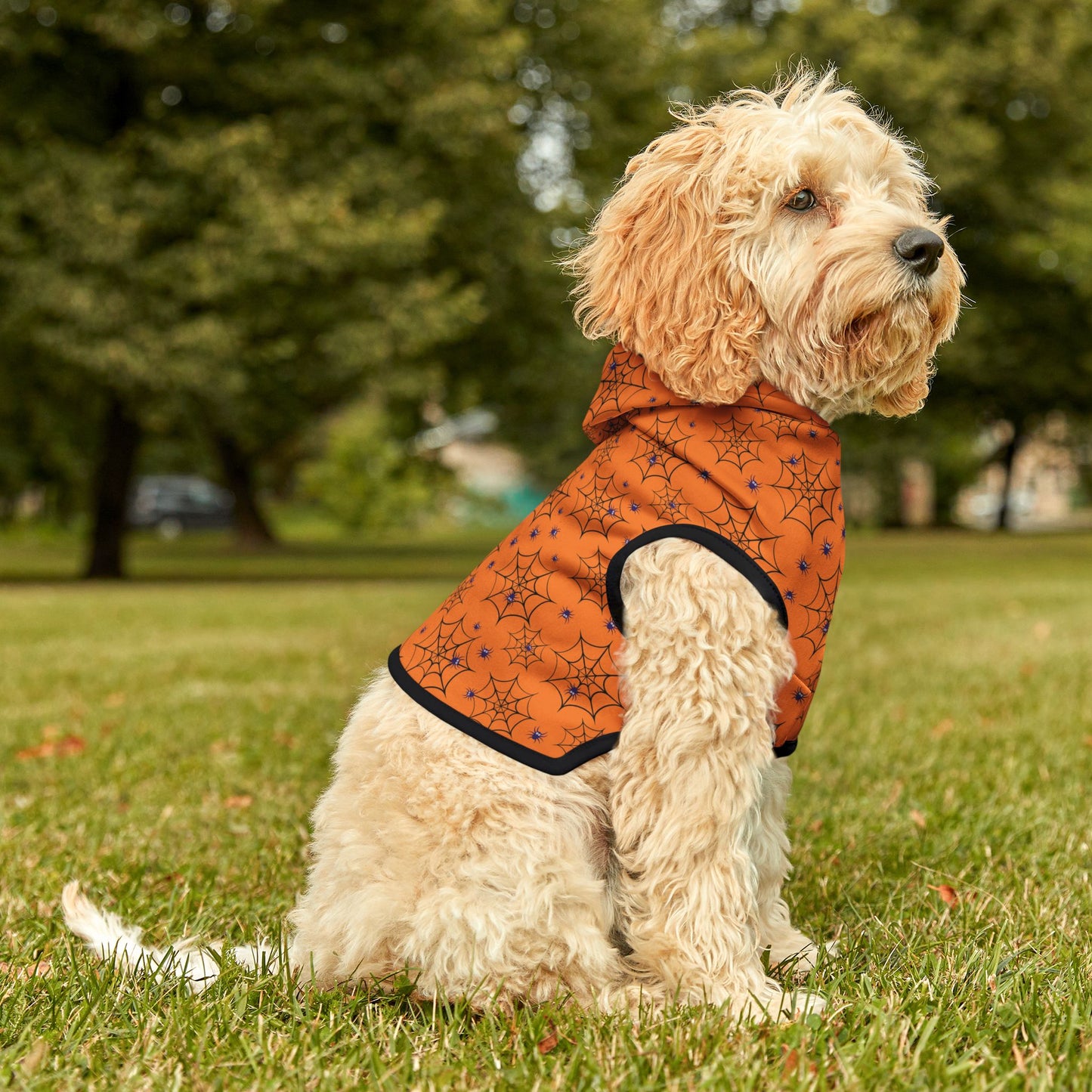 Spider Web Halloween Dog Hoodie