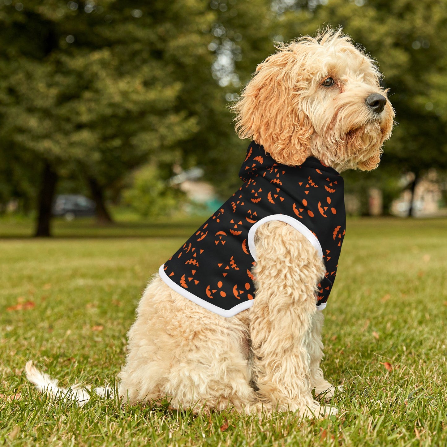 Spooky Face Dog Hoodie