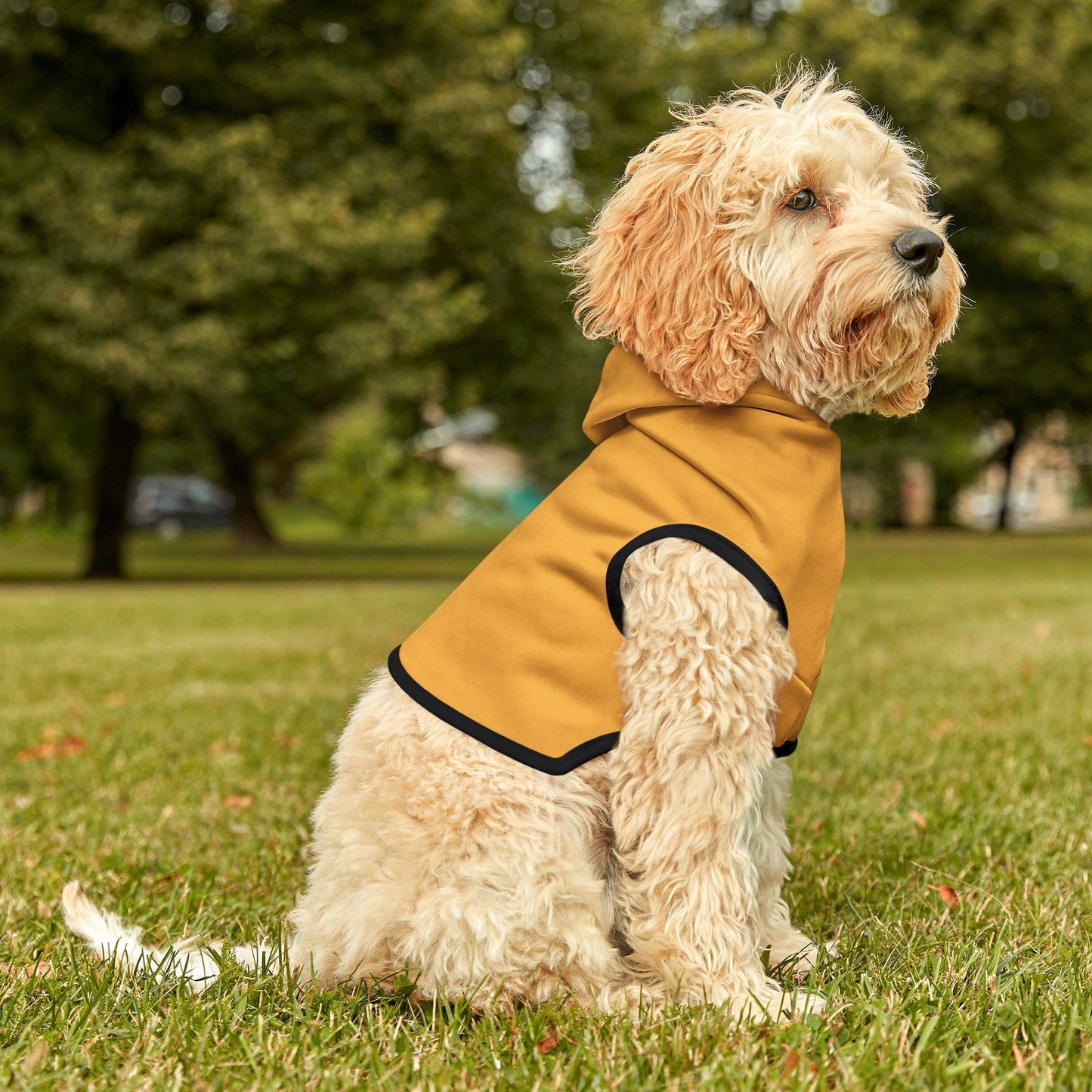 Yellow Joy Dog Hoodie