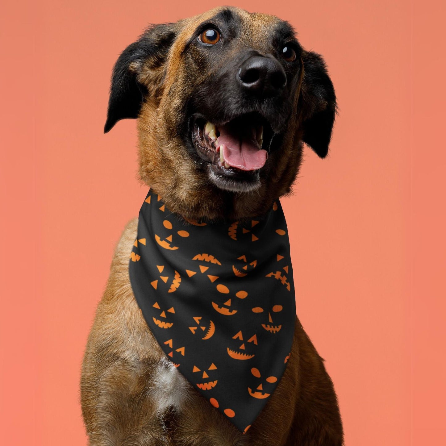 Spooky Face Dog Bandana