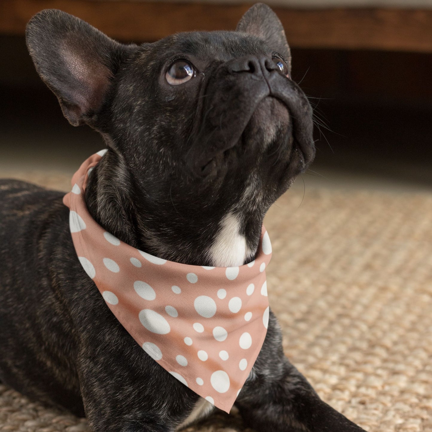 Peach Fuzz Polka Dog Bandana