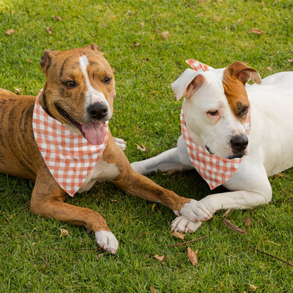 Orange Checks Dog Bandana