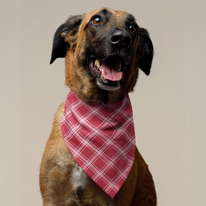 Red Plaid Dog Bandana