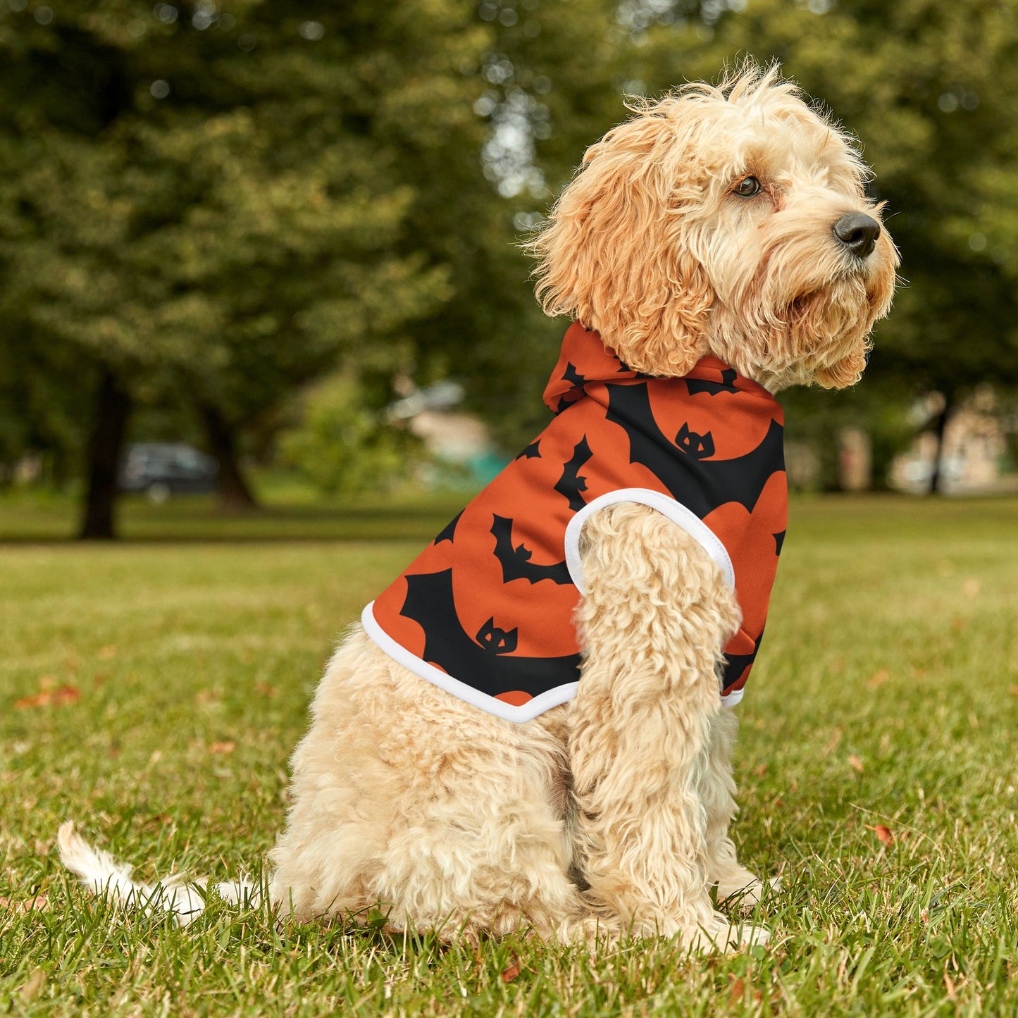 Bat Halloween Dog Hoodie