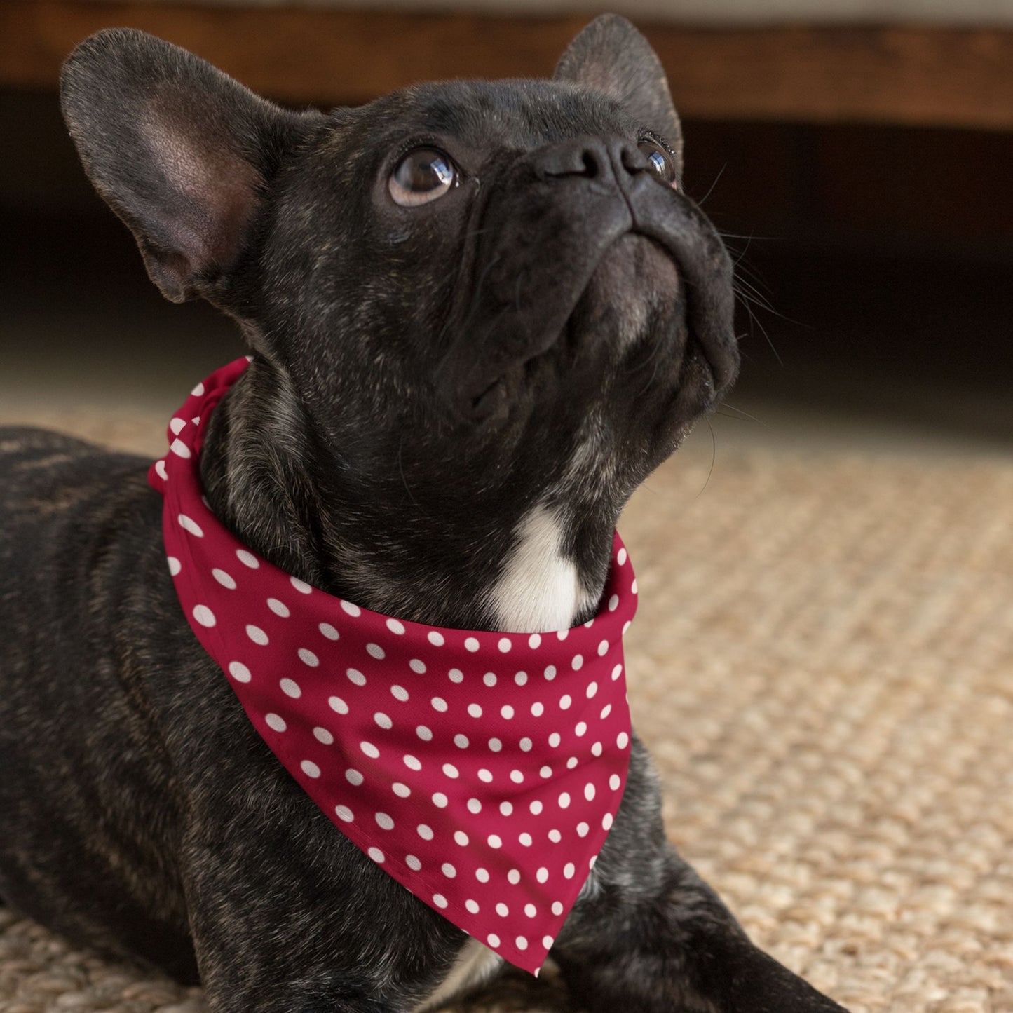 Red Polka Dog Bandana