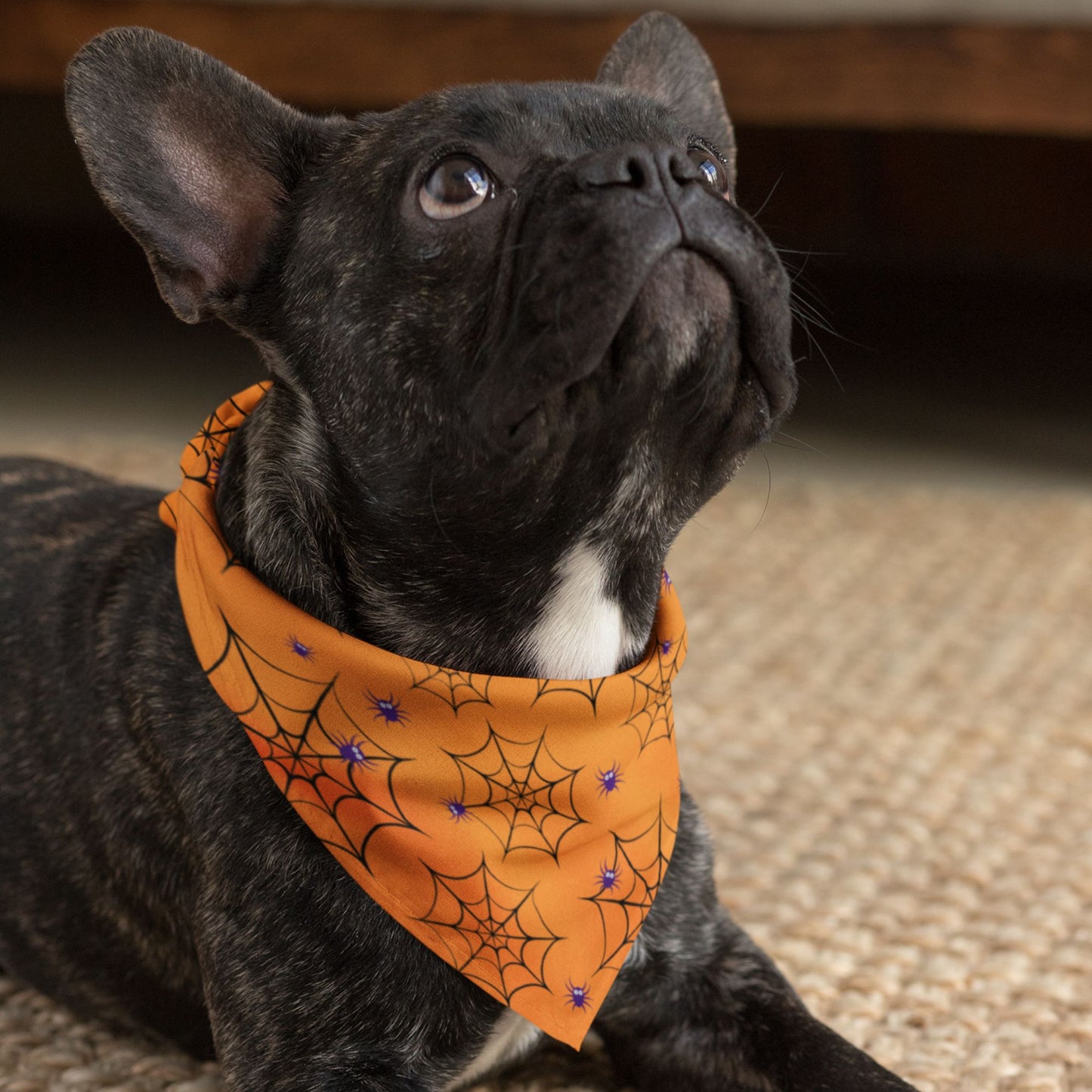 Spider Web Halloween Dog Bandana