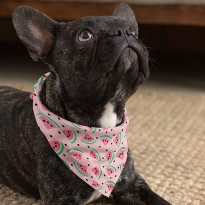 Watermelon Delight Dog Bandana