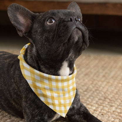 Yellow Checks Dog Bandana