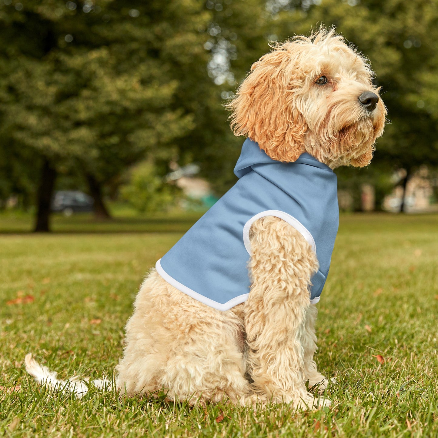 Blue Sky Dog Hoodie