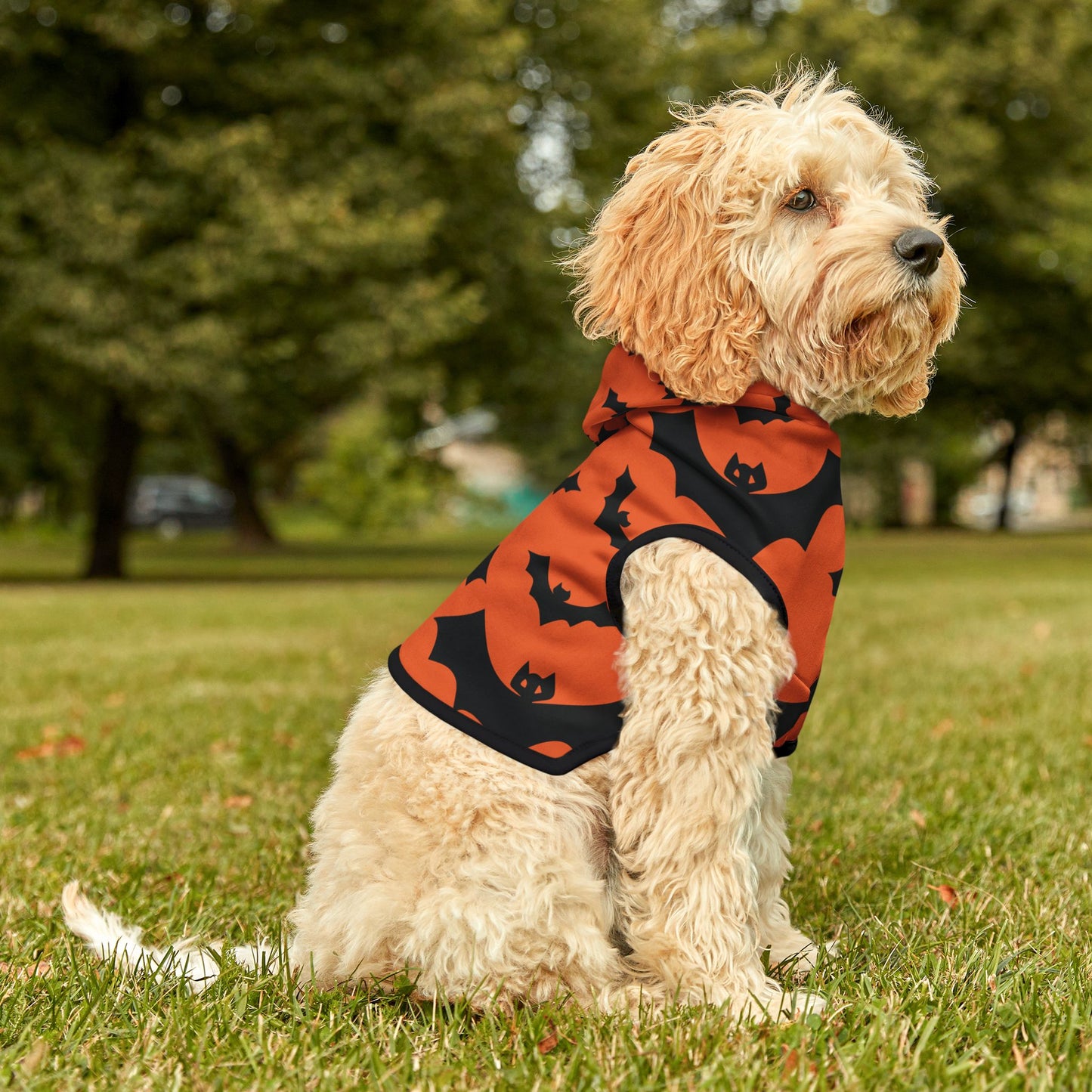 Bat Halloween Dog Hoodie