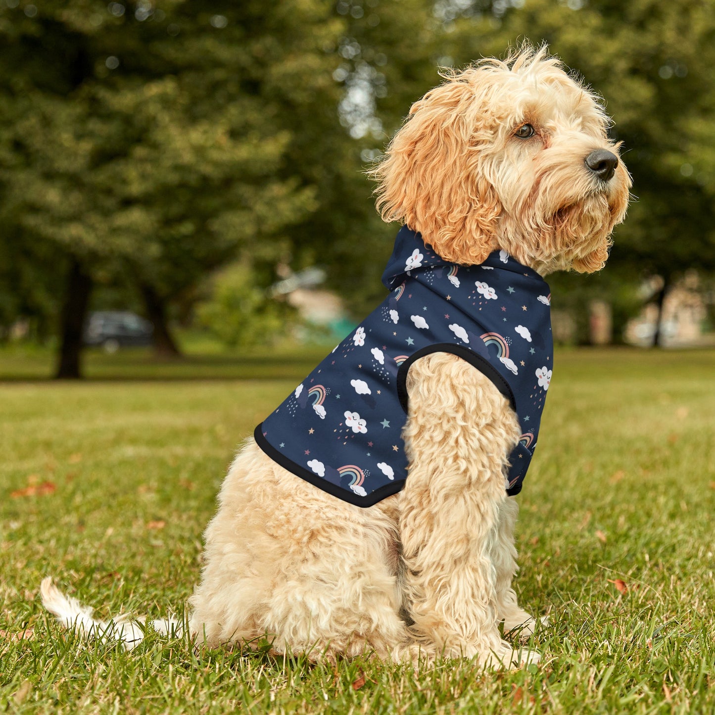 Night Rainbows Dog Hoodie