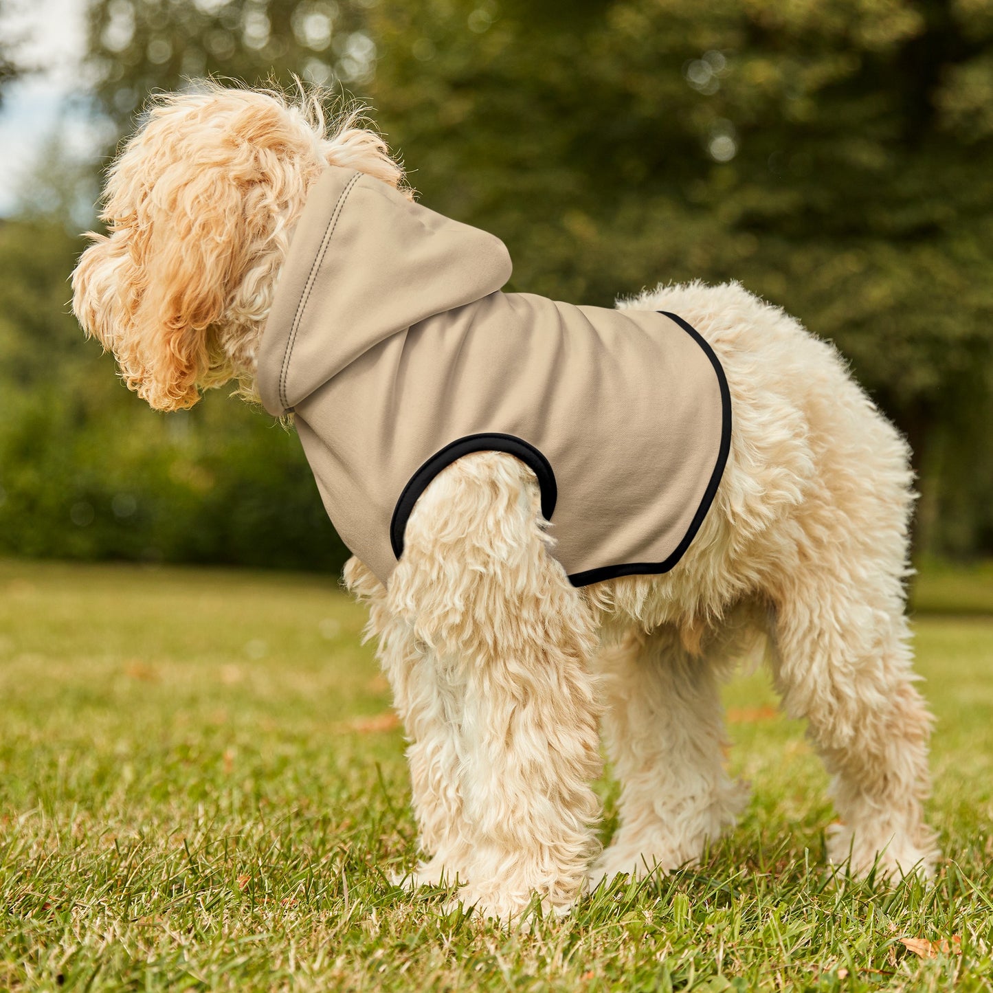 Beach Sand Dog Hoodie