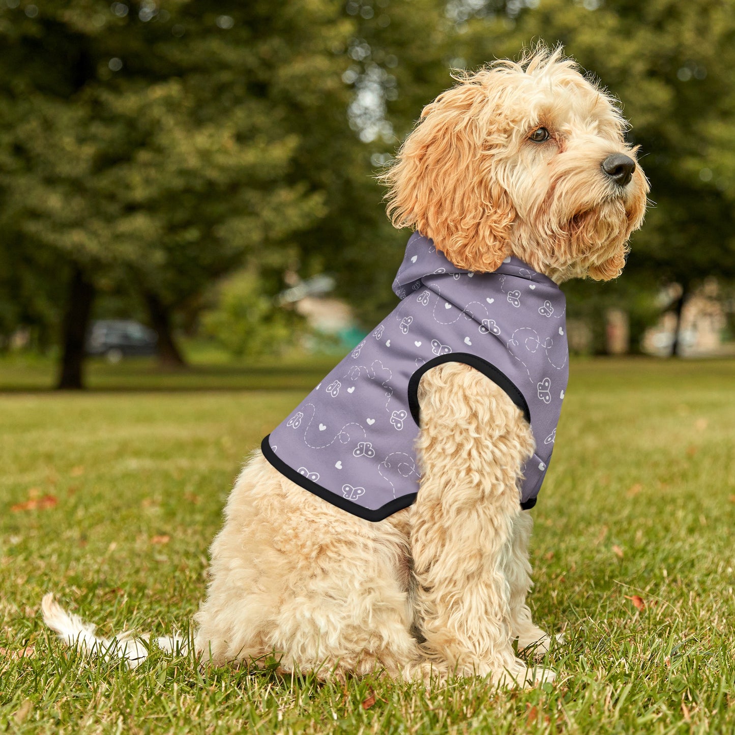 Butterfly Heart Dog Hoodie