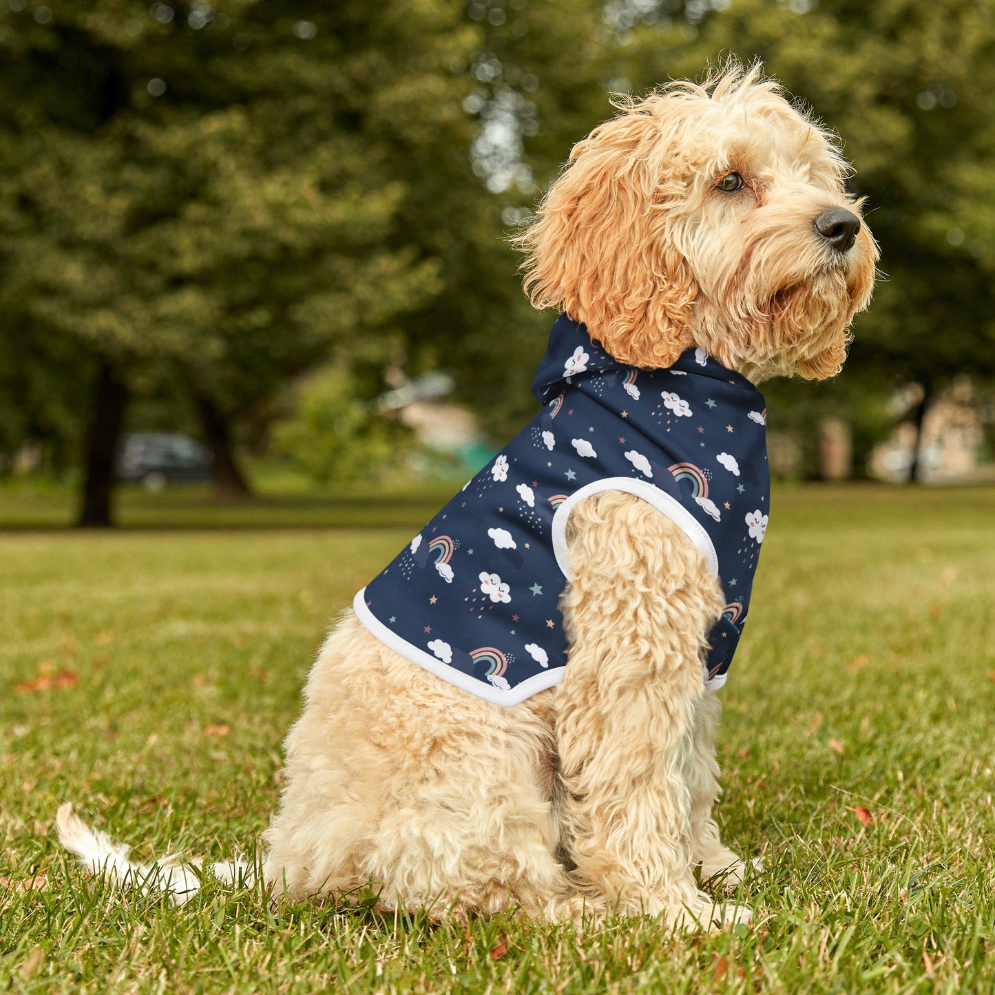 Night Rainbows Dog Hoodie