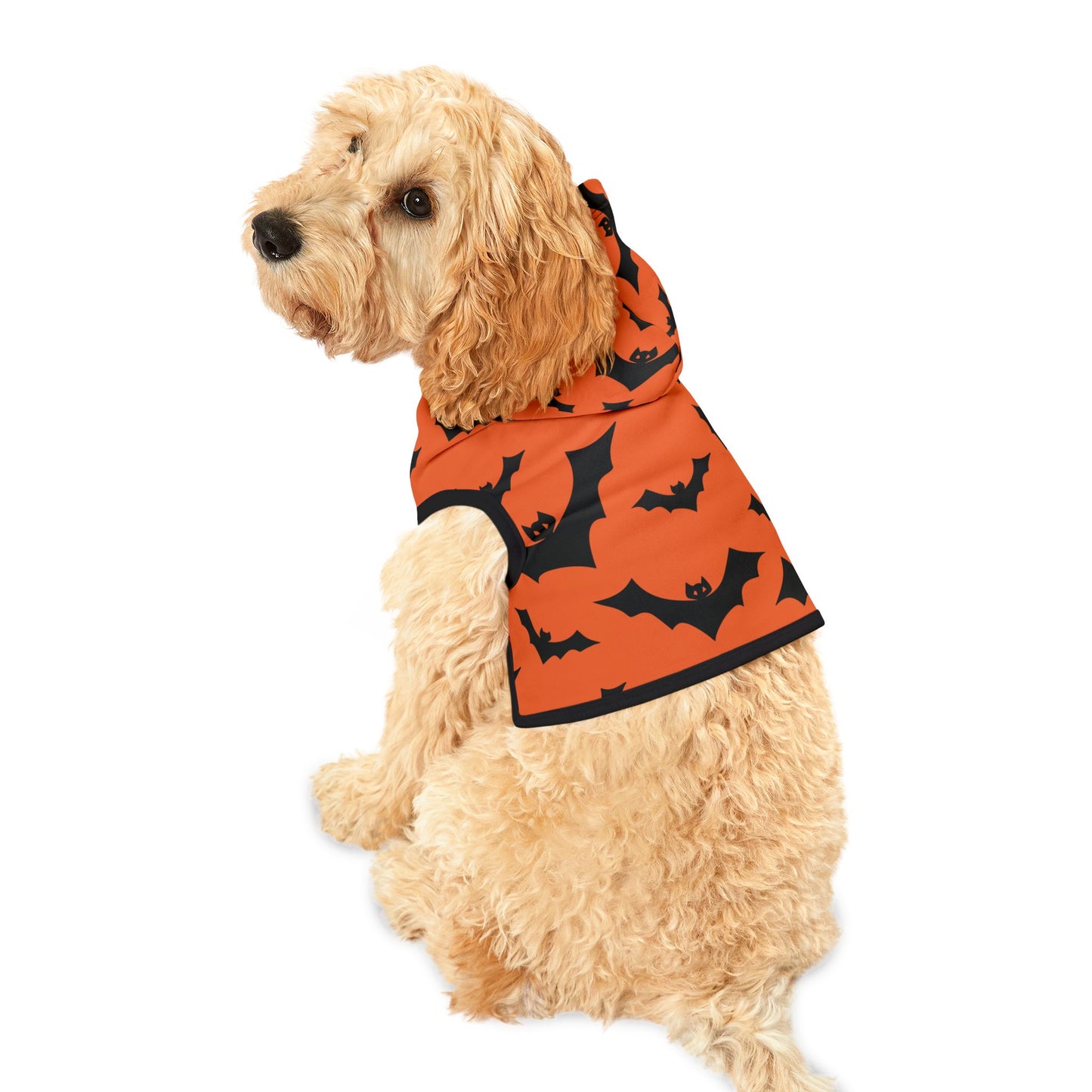 Bat Halloween Dog Hoodie