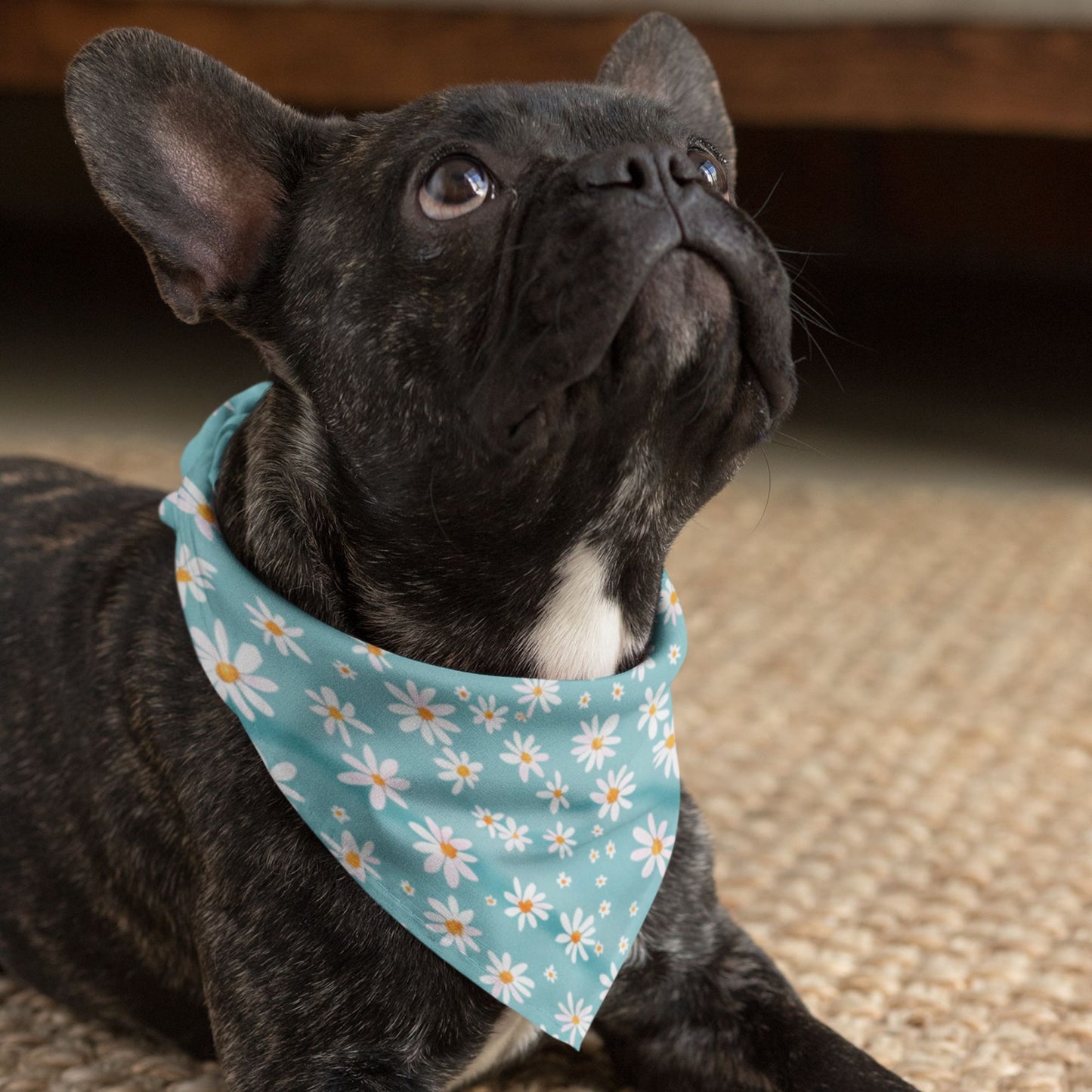 Blue Daisy Dog Bandana