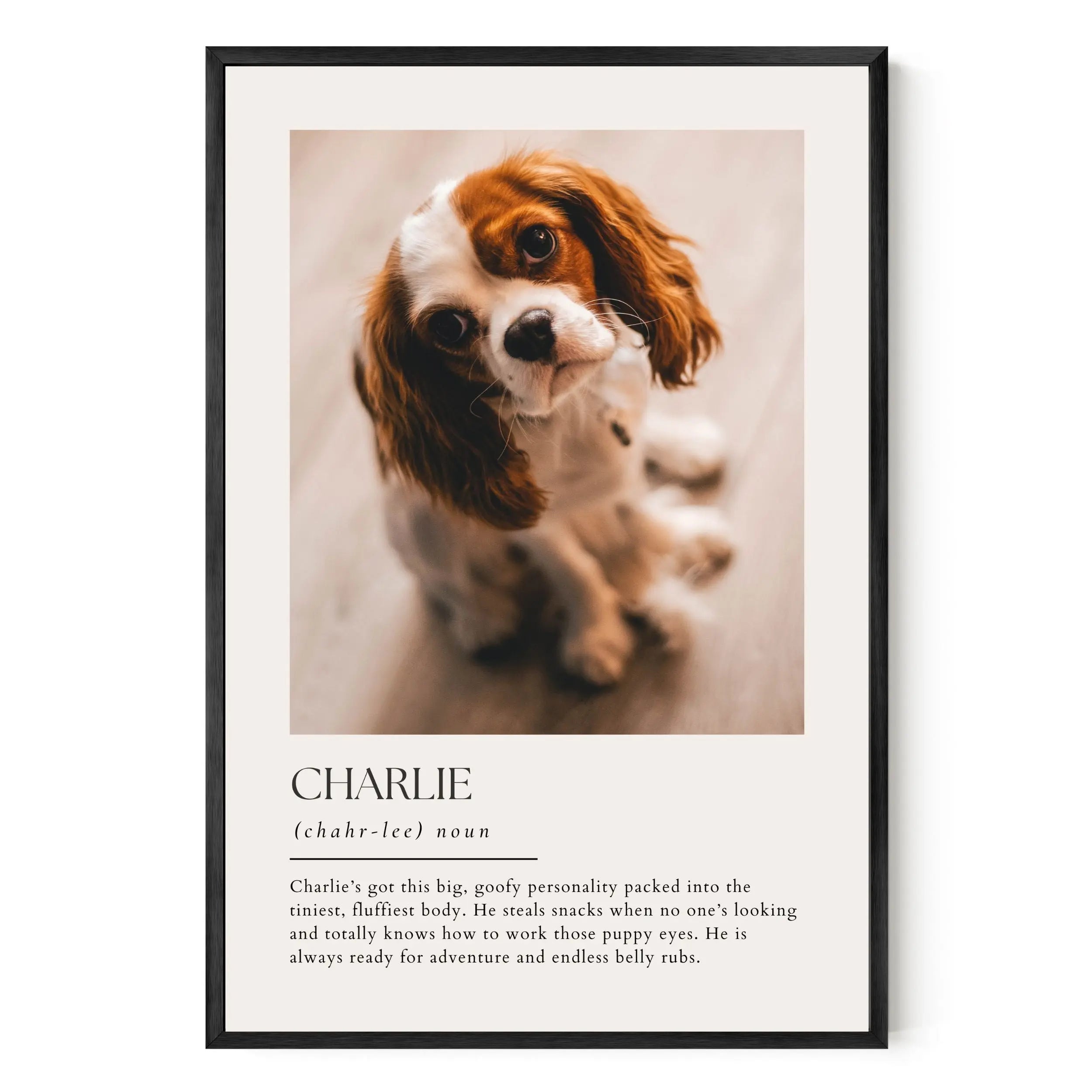 Dictionary Custom Pet Art Artelo