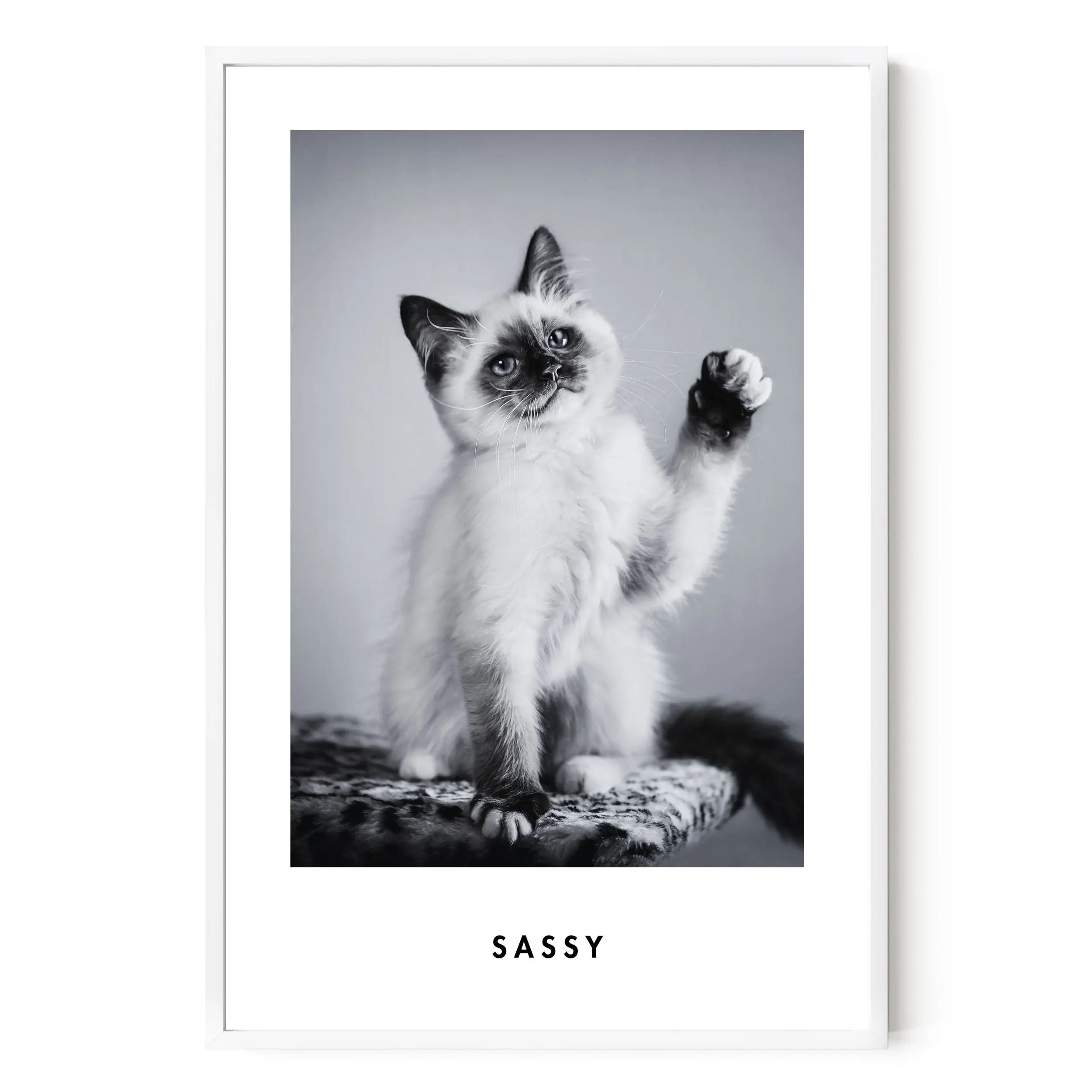 Monochrome Custom Pet Portrait Artelo