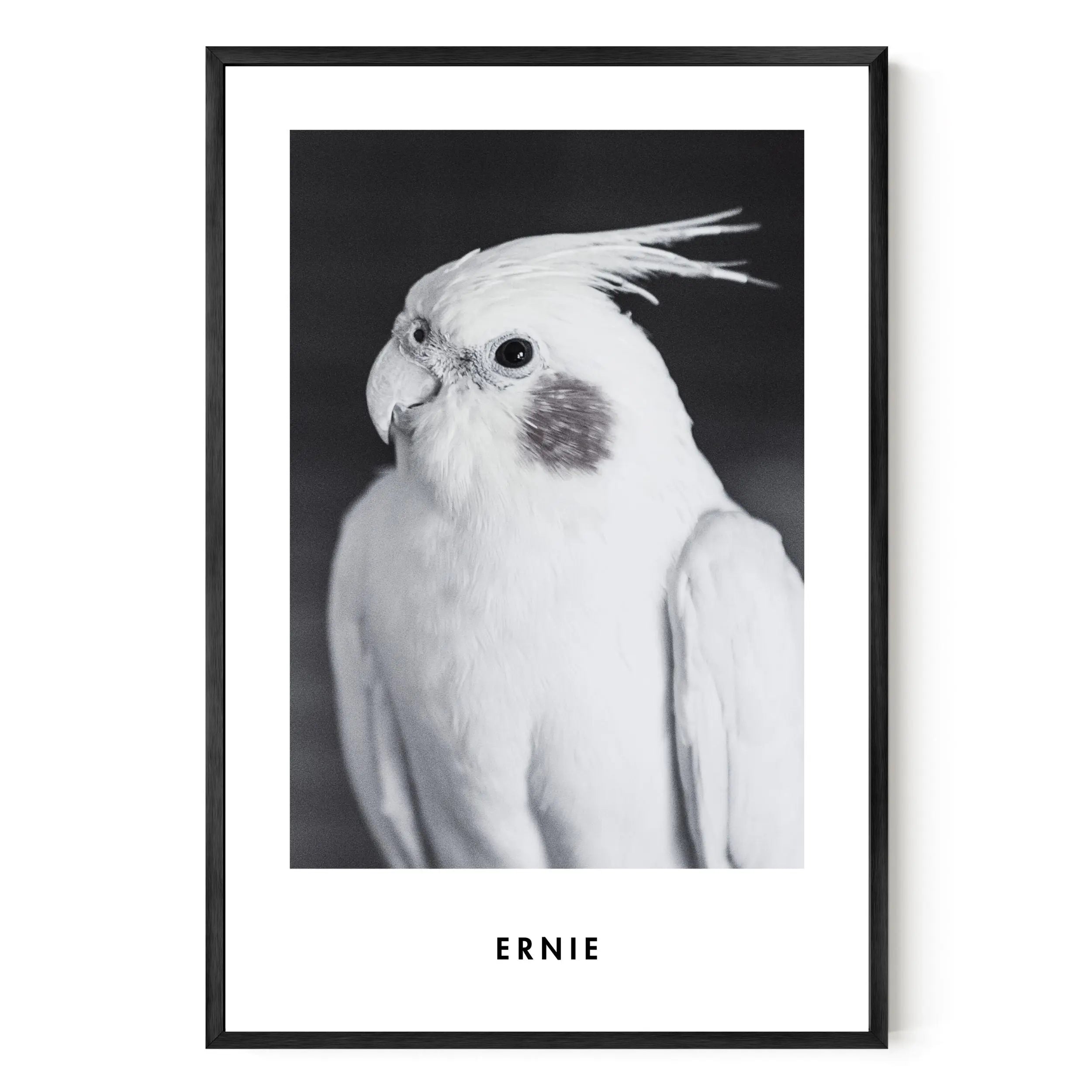 Monochrome Custom Pet Portrait Artelo