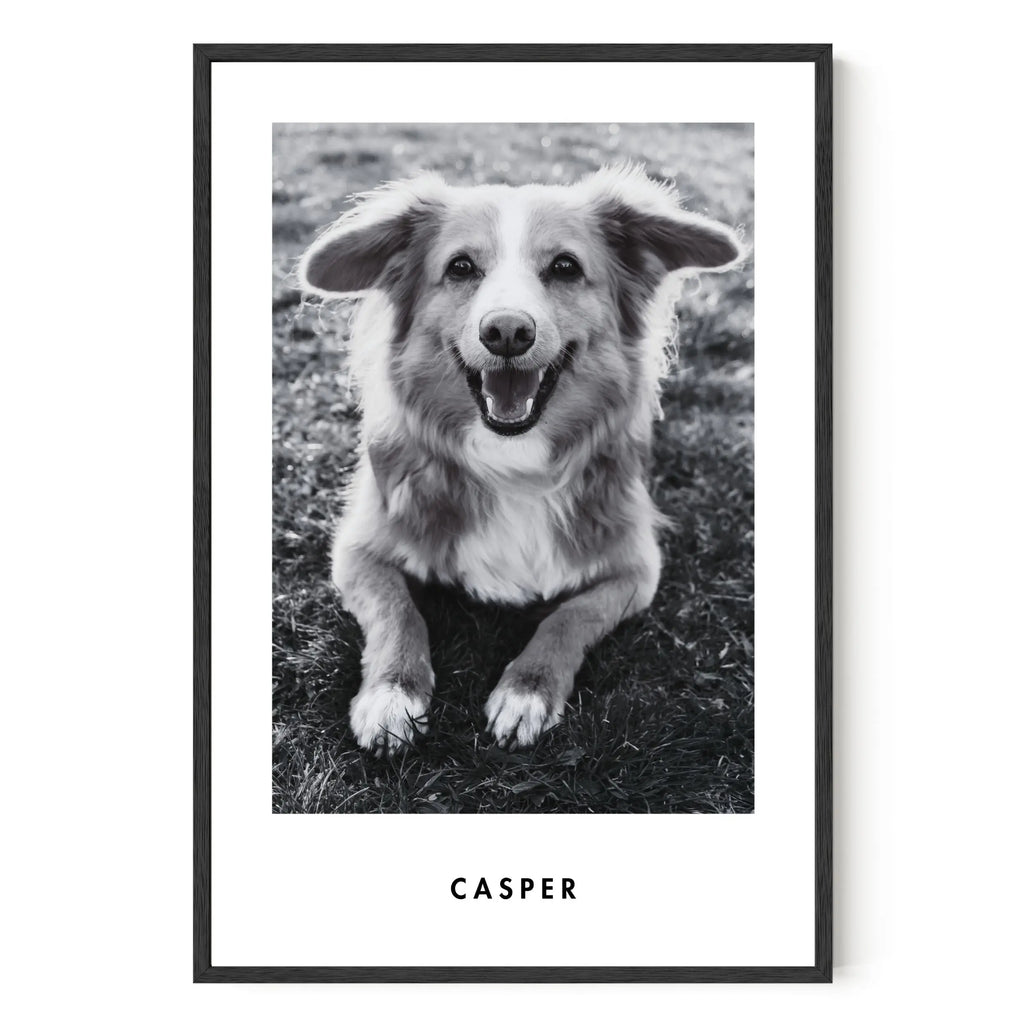 Monochrome Custom Pet Portrait Artelo