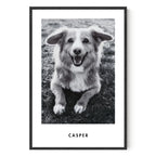Monochrome Custom Pet Portrait Artelo