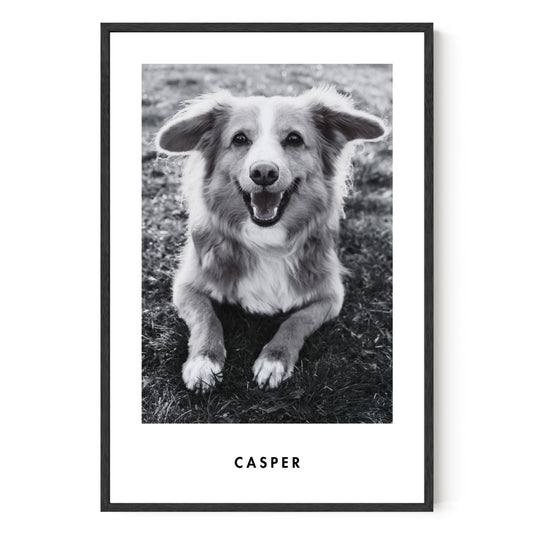 Monochrome Custom Pet Portrait