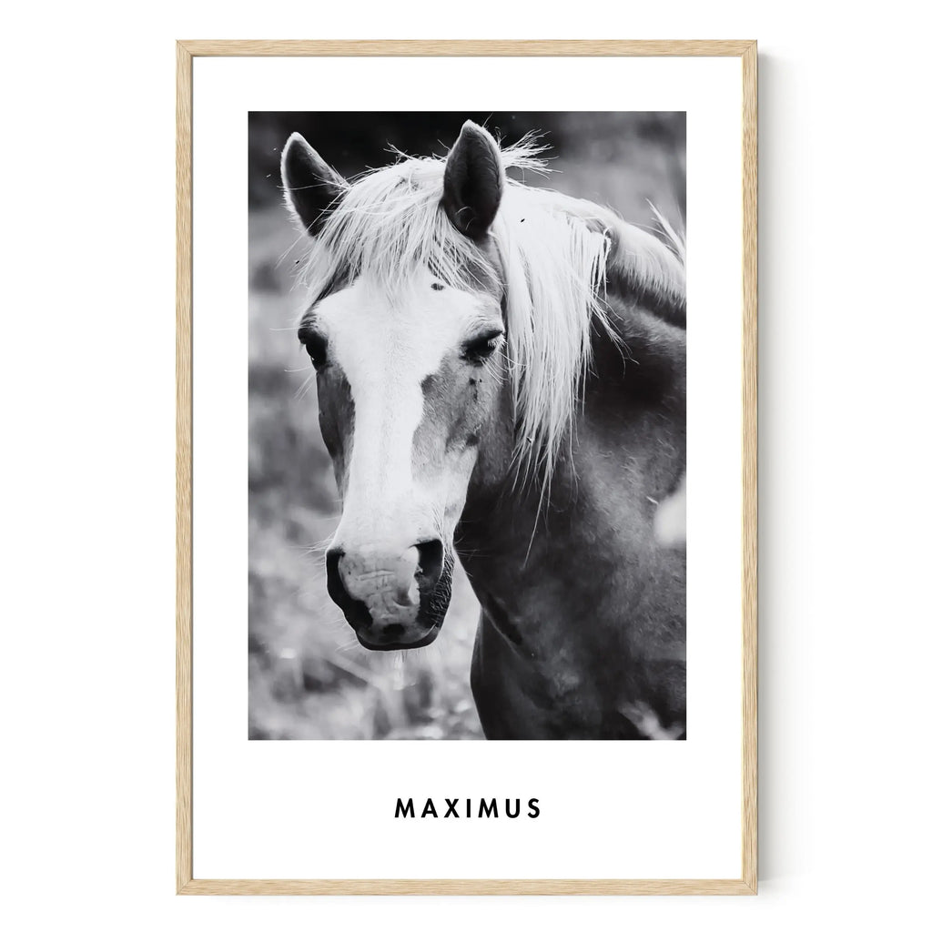 Monochrome Custom Pet Portrait Artelo